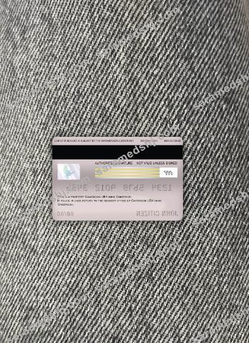 Cameroon UBA bank visa debit card photolook back